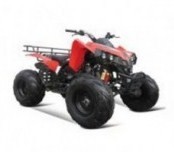  Gryphon Easy Rider 150    150 - --.