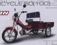  Orion Tricycle 100   100 - --.